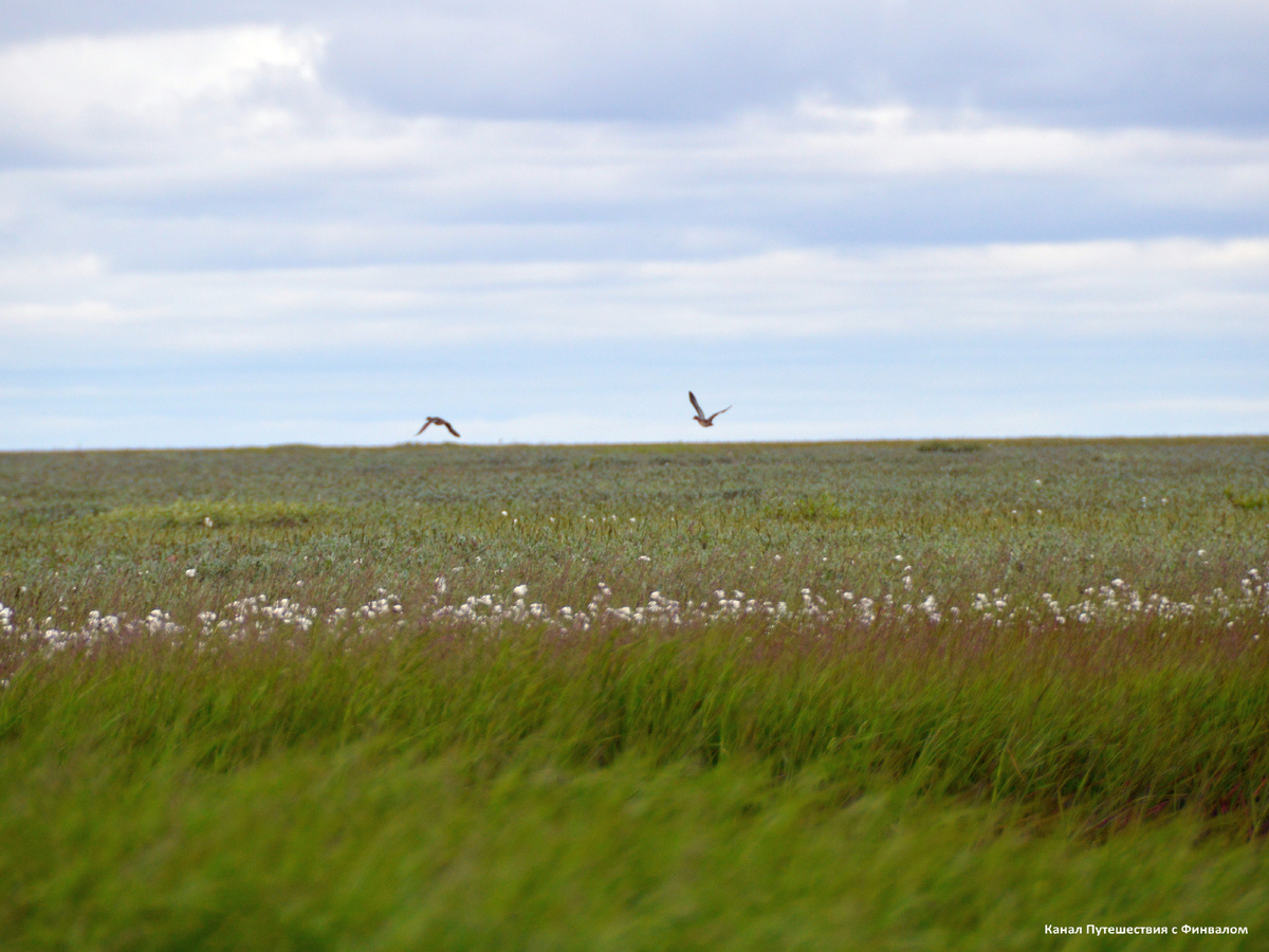Не захотели позировать))