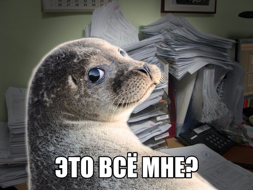 Именно это меня ждёт в понедельник. Я знаю. 