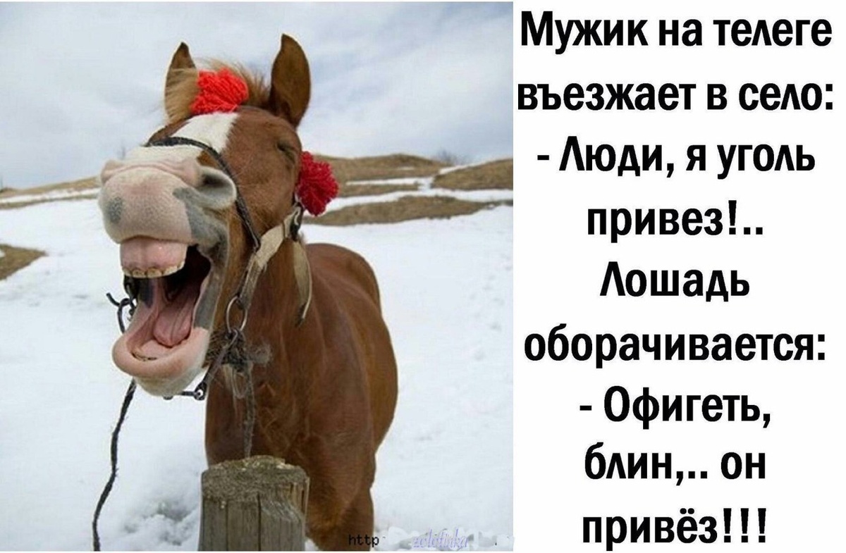 От работы кони дохнут