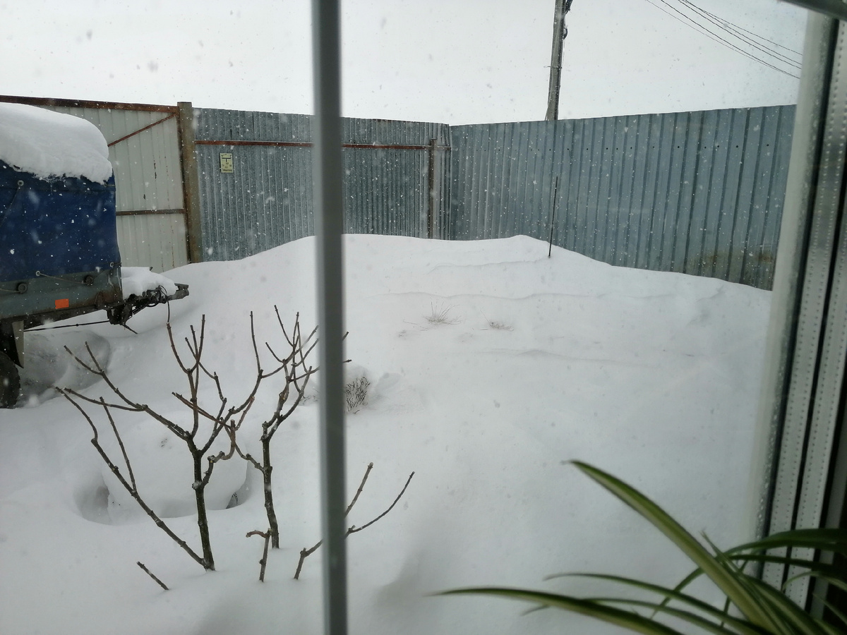 Апрель прошлого года. Сегодня что-то в таком же духе, только вряд ли за неделю растает.