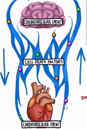 Фото из свободного доступа интернет