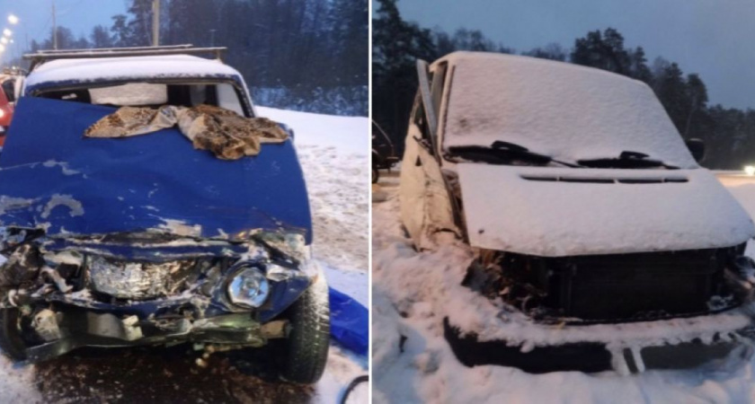    Фото: ГИБДД Брянской области