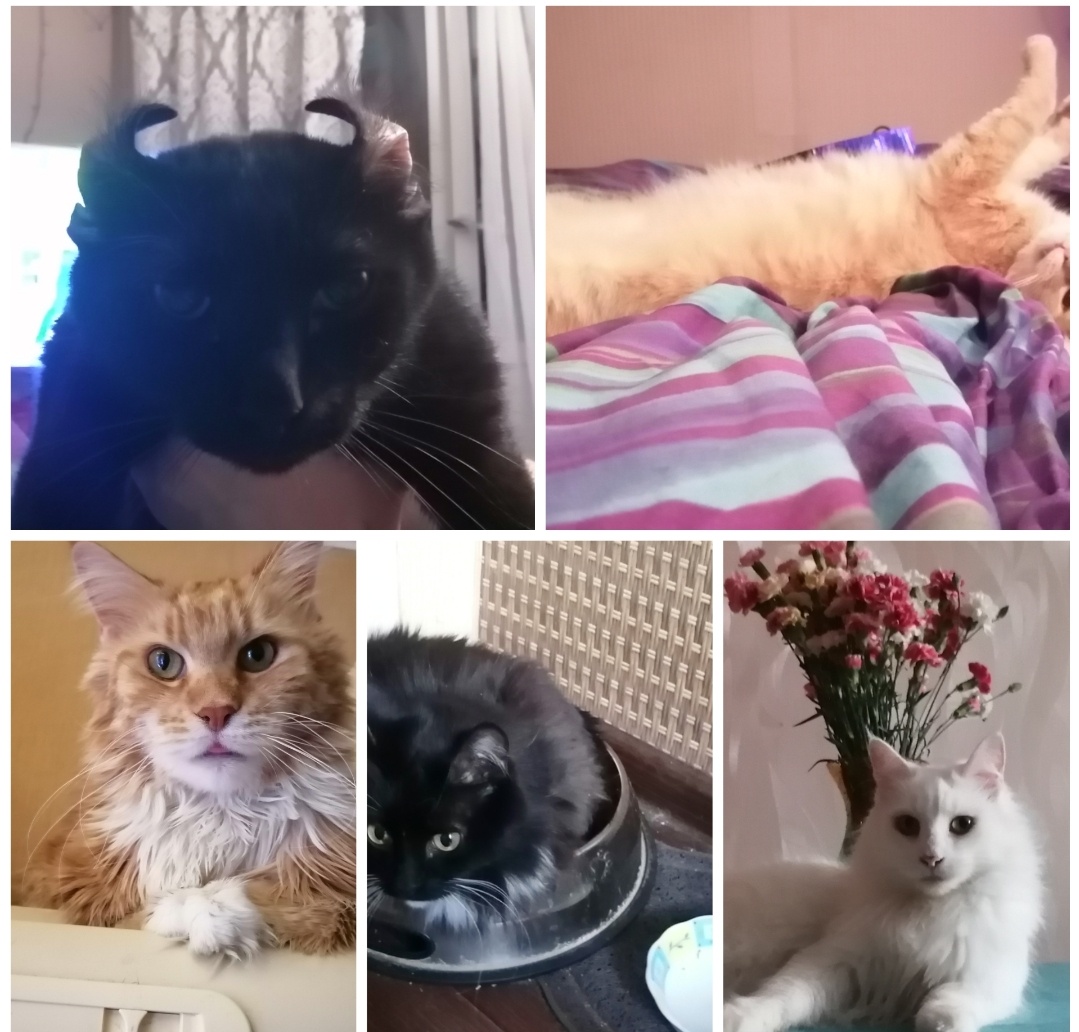 Фото автора.