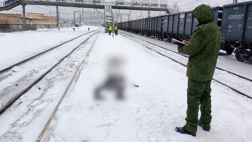    Фото: Telegram/Центральное МСУТ СК России/CMSUTSKR