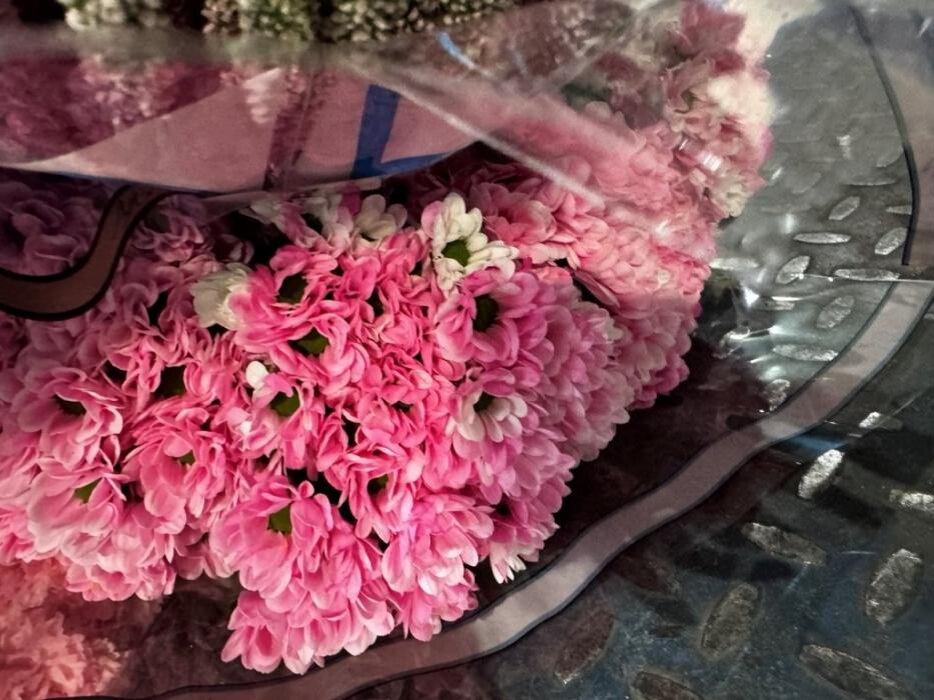 Около полумиллиарда цветов и зелени ввезли в Россию через Псковскую область за год
Фото: пресс-служба Северо-Западного межрегионального управления Россельхознадзора