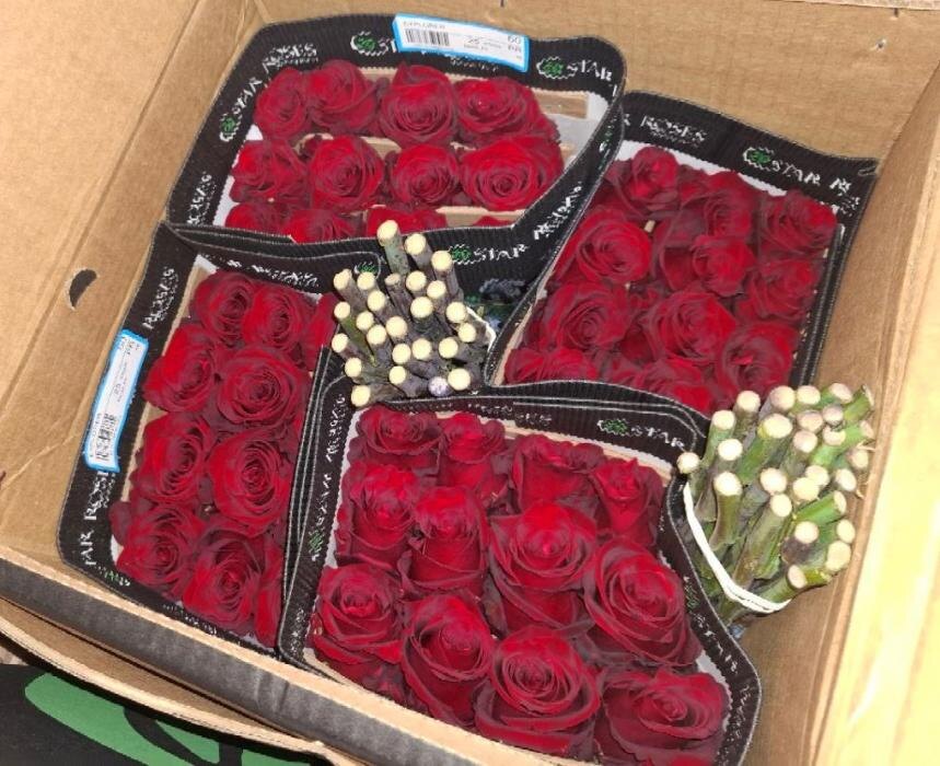 Около полумиллиарда цветов и зелени ввезли в Россию через Псковскую область за год
Фото: пресс-служба Северо-Западного межрегионального управления Россельхознадзора