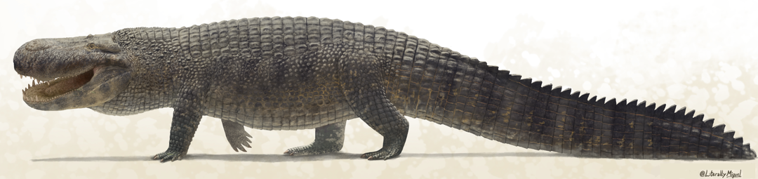 Все виды ВЫМЕРЩИХ КАЙМАНОВ. 3-часть.