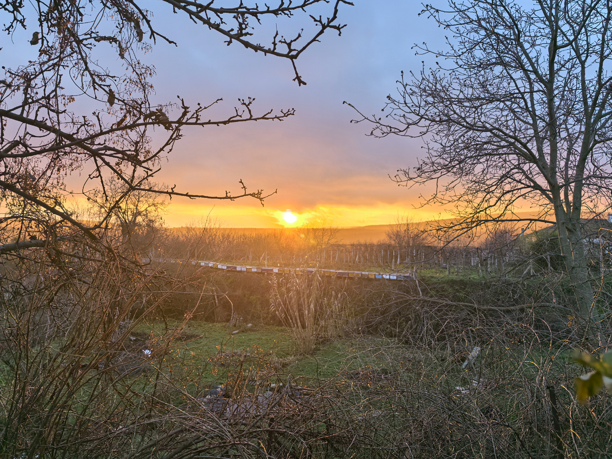 Еще недовно все было серым