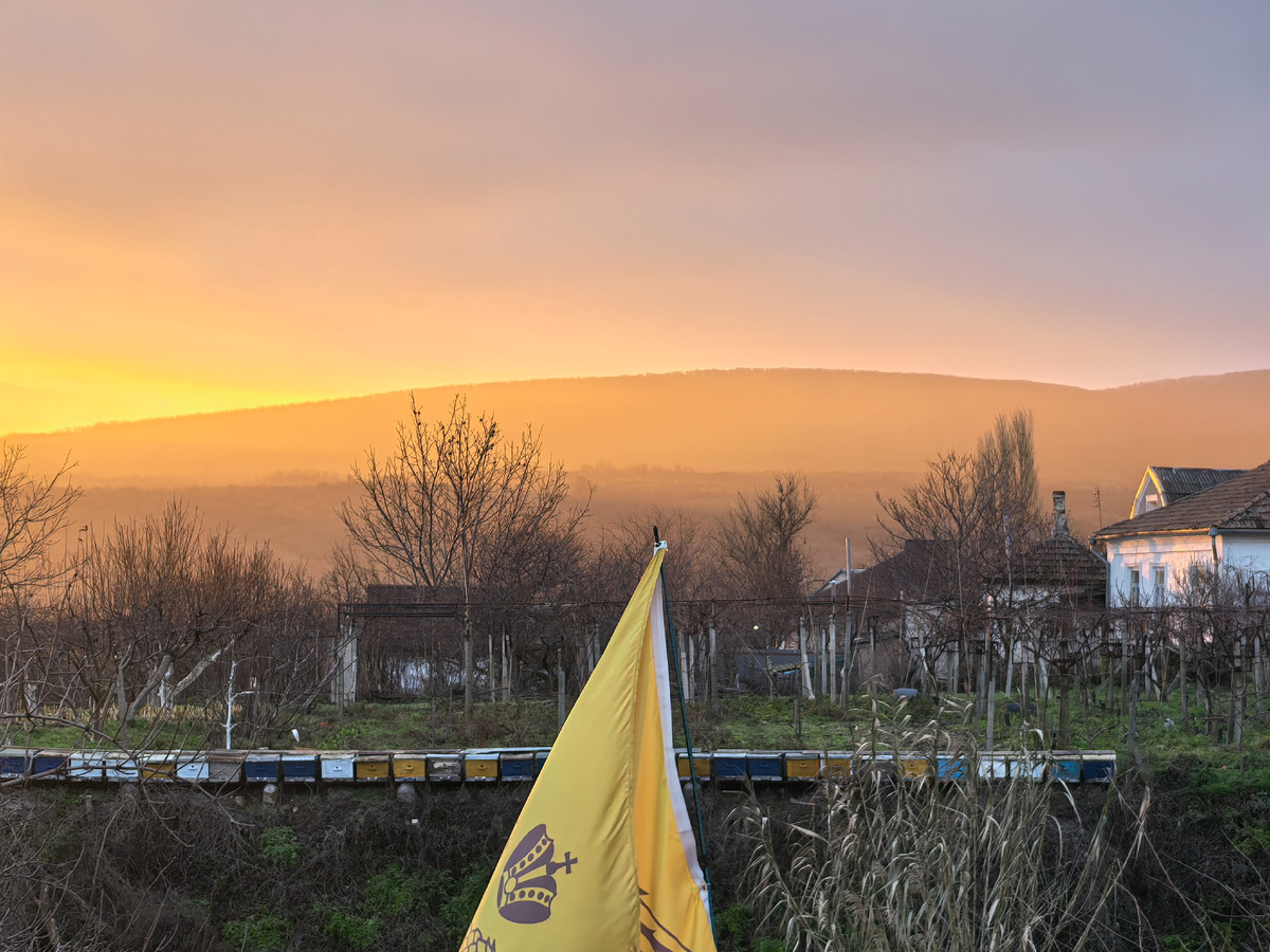 Луч солнца золотой