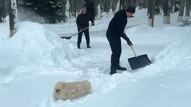    Фото: Telegram/Александр Лукашенко - официальный канал/alexander_lukashenko