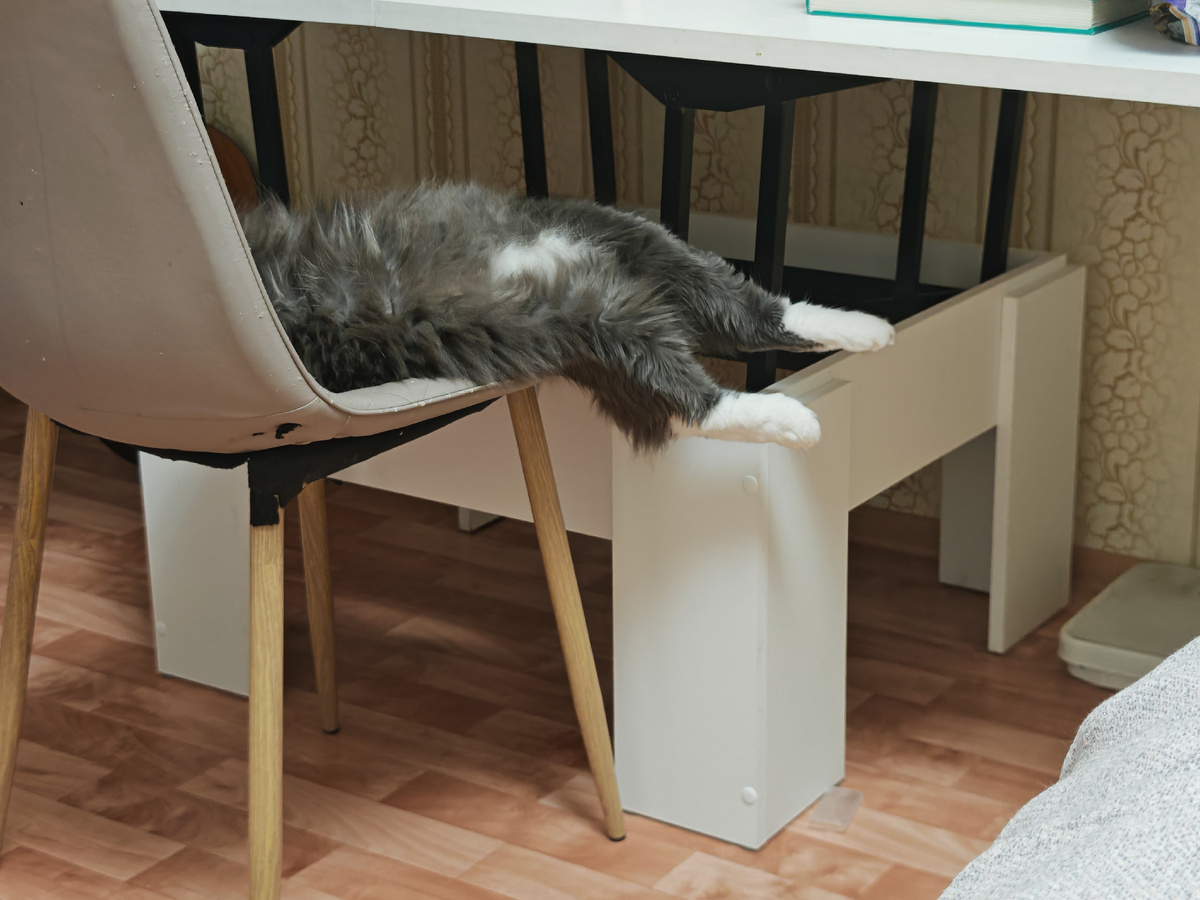 Фото автора канала.