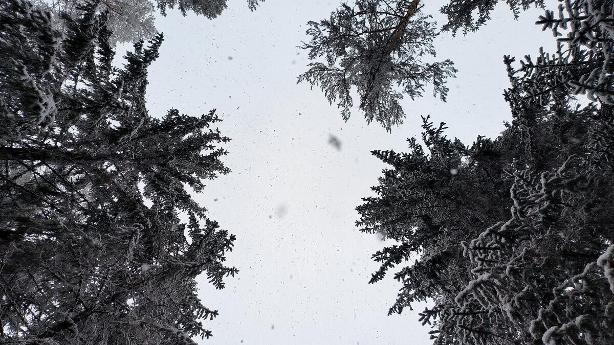    Фото: Maksim Konstantinov/Global Look Press