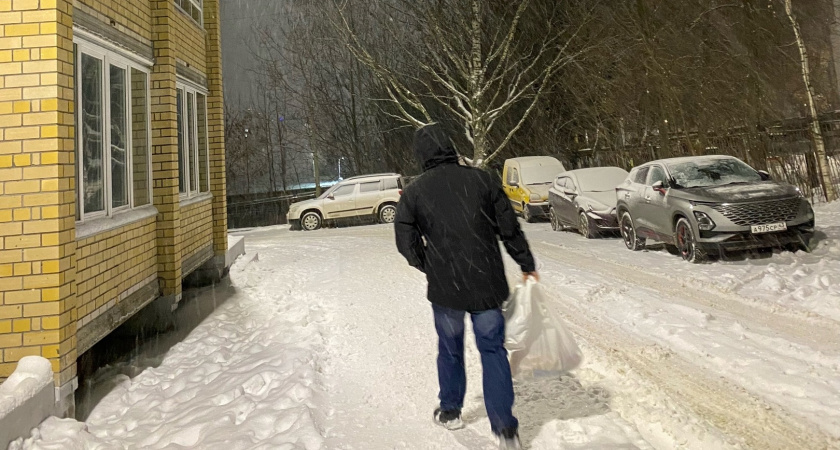    Фото: progorod43.ru