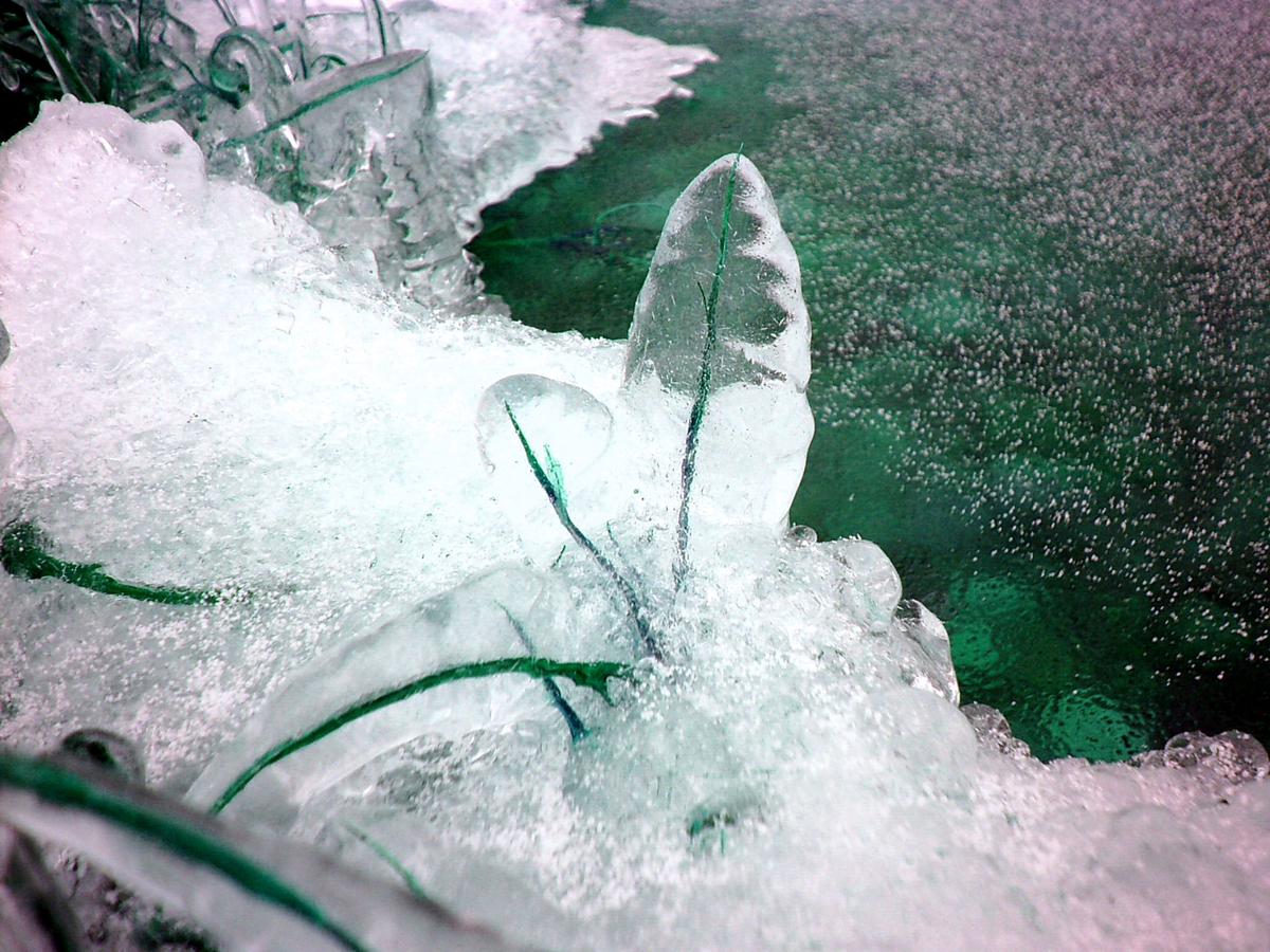 2. Сотворение ледяных листиков.