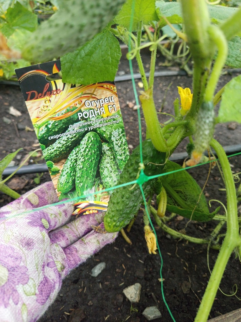  Красавчик, как с картинки