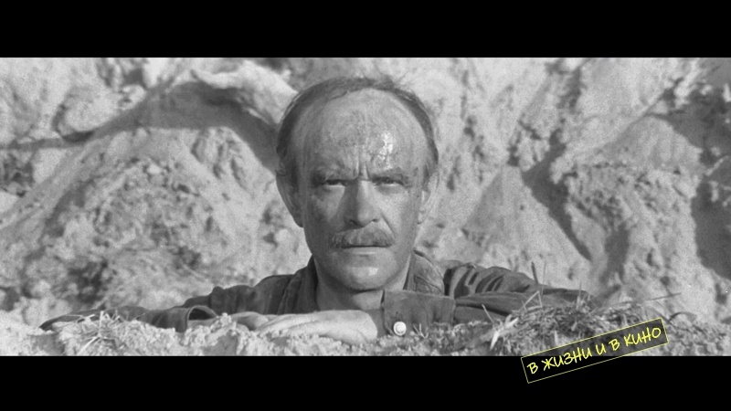 Кадр из фильма