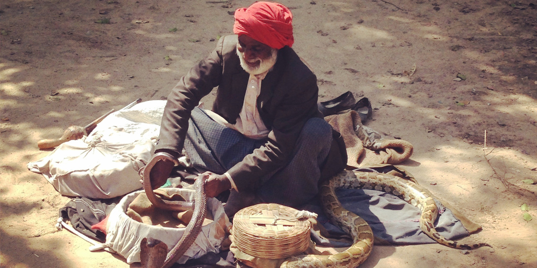 Индия. Вокруг общества (Продолжение)