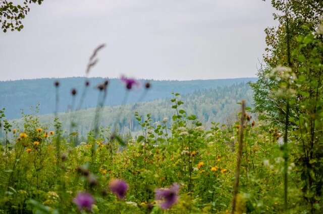    Фото: «АиФ-Урал»