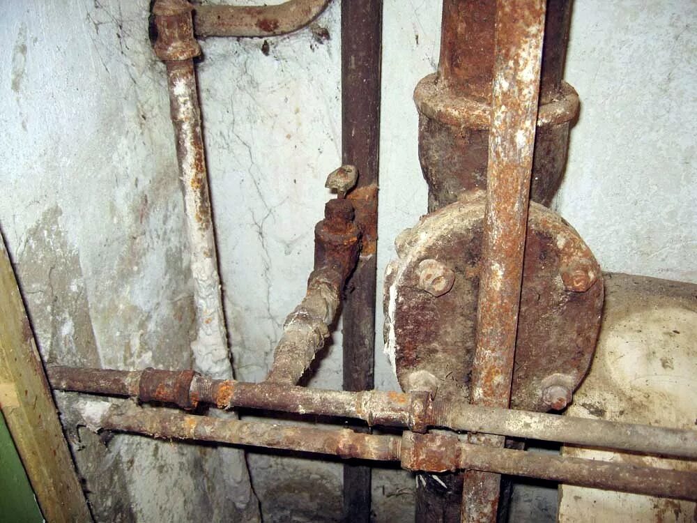 Фото из открытого доступа