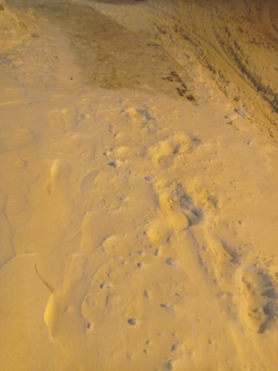 Тротуар занесло. 