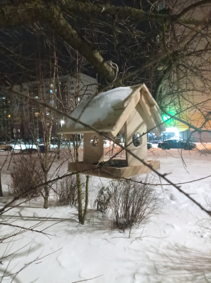 Крыша кормушки в снегу. 