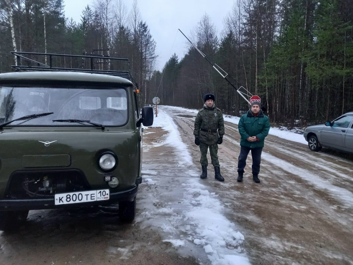    Фото: Минприроды Карелии / ВК