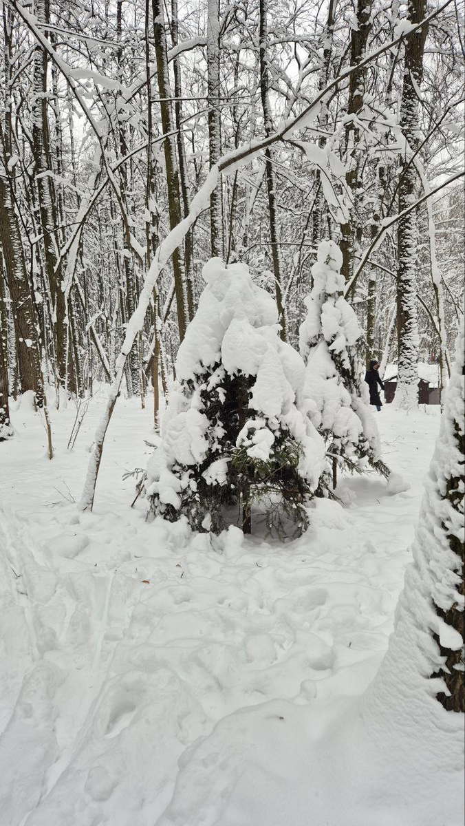 Гуляли в лесу