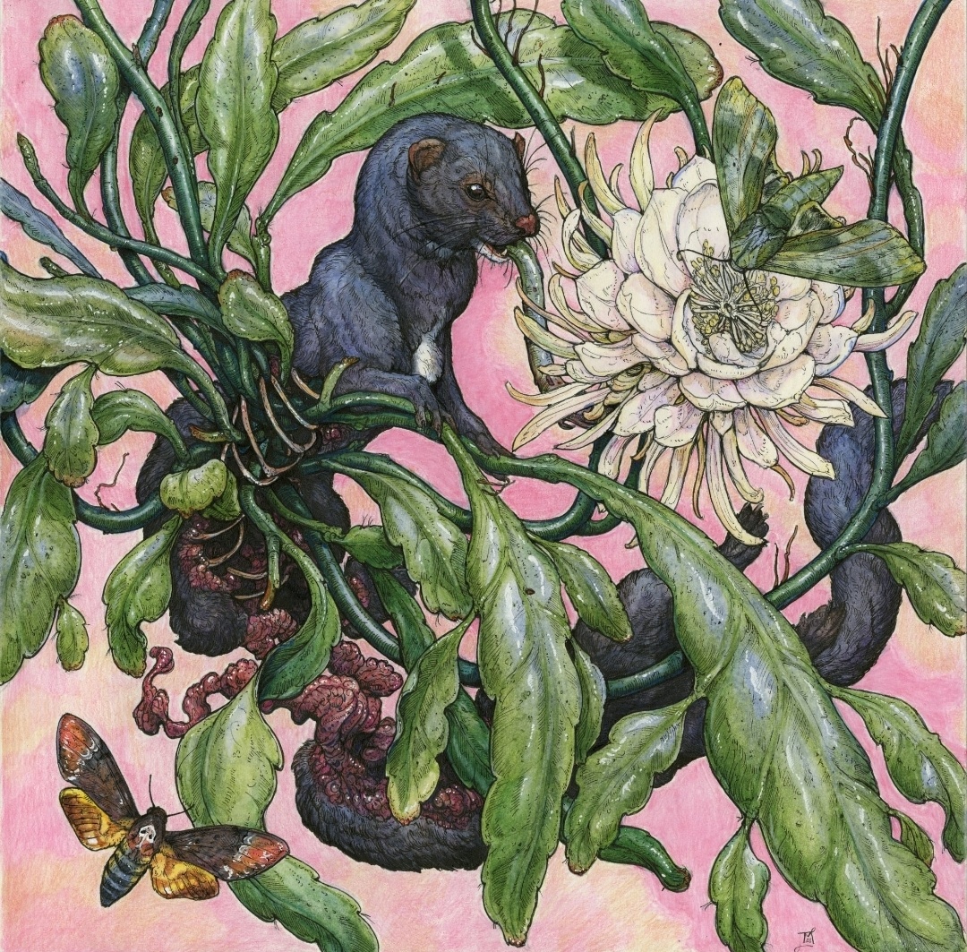 Работы художницы Лорен Маркс