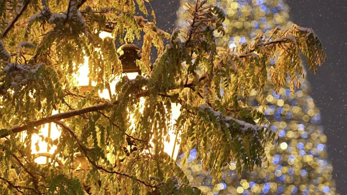 © Sputnik / Aram Nersesyan