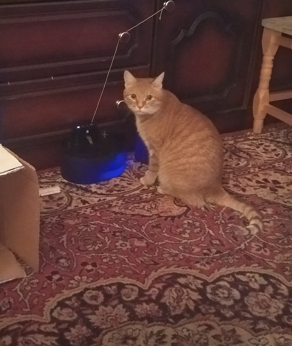 личное фото