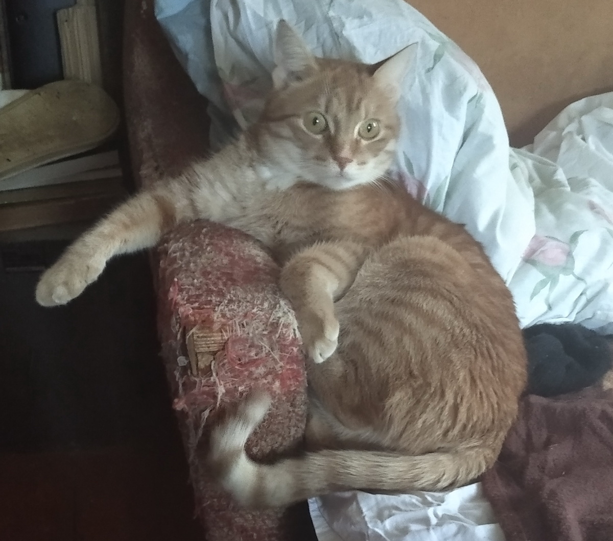 личное фото