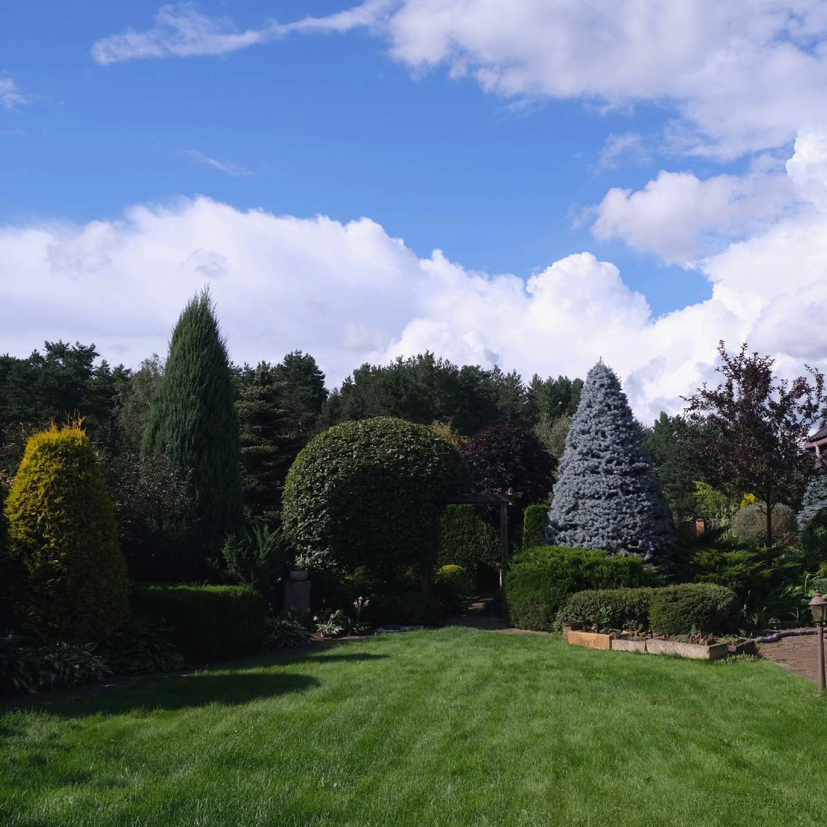 Общий вид на сад