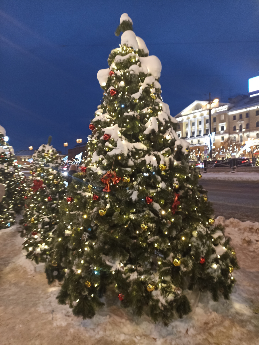 Новогодняя елка у Сенной площади. Такая же как на площади Декабристов 