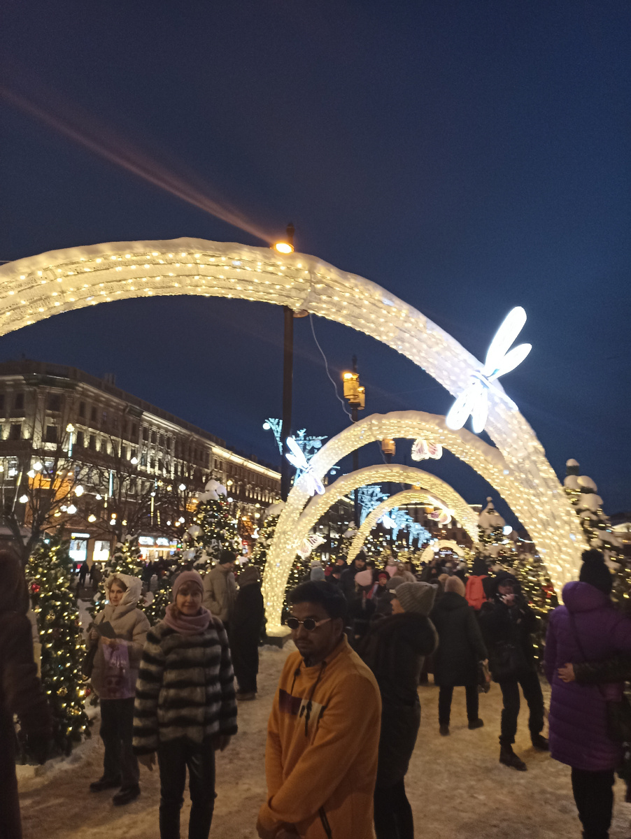 Дуги с насекомыми 