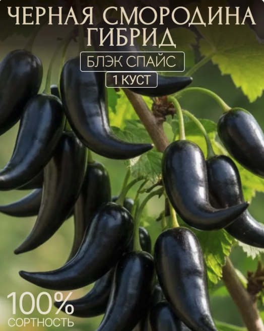 Листаем, чем дальше-тем страннее