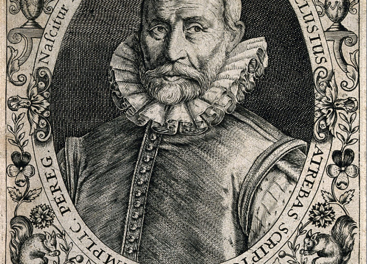 История пионов. Шарль де Леклюз.