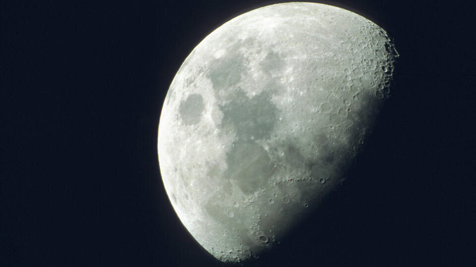 Фото: © www.globallookpress.com/N. Dautel/blickwinkel