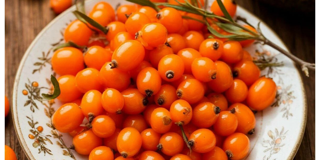 Польза облепихи для иммунитета, настроения и общего самочувствия
