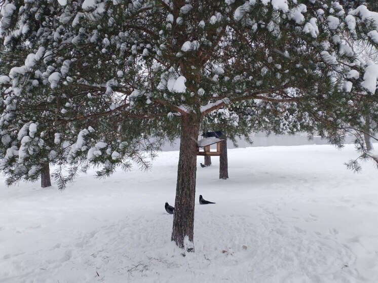     Фото: архив МК в Калининграде.