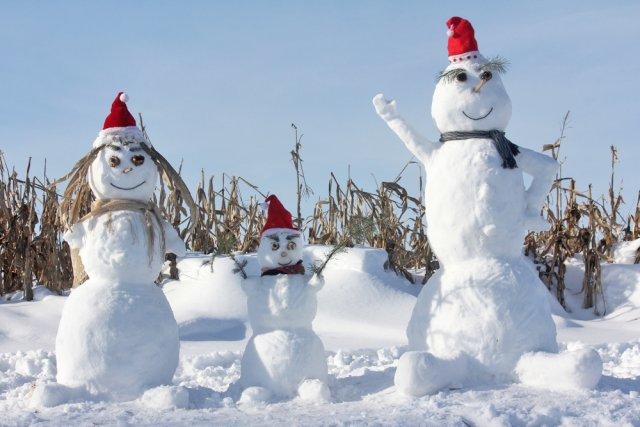 Фото из интернета