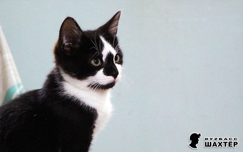 Фото автора не в тему