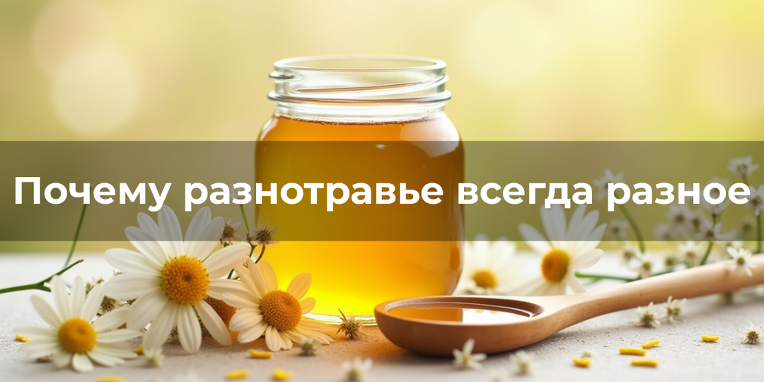 Разнотравье: почему мёд каждый сезон разный и почему это хороший знак