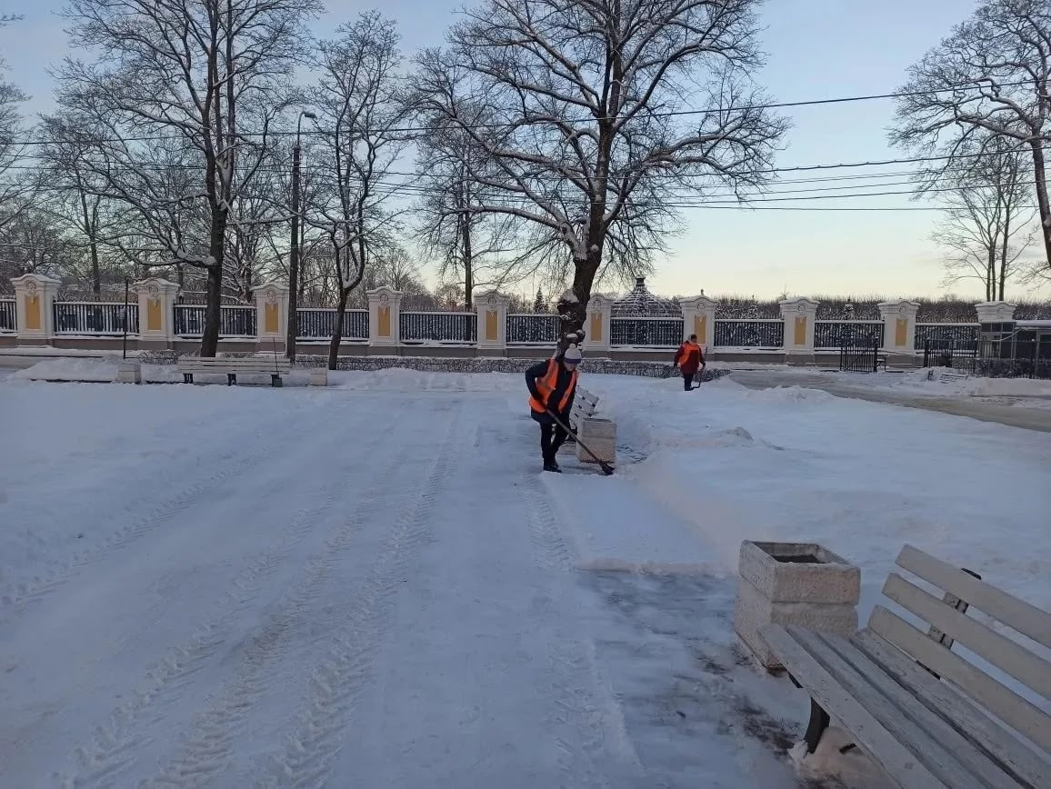    Фото: t.me/PetrichenkoSergey/8609