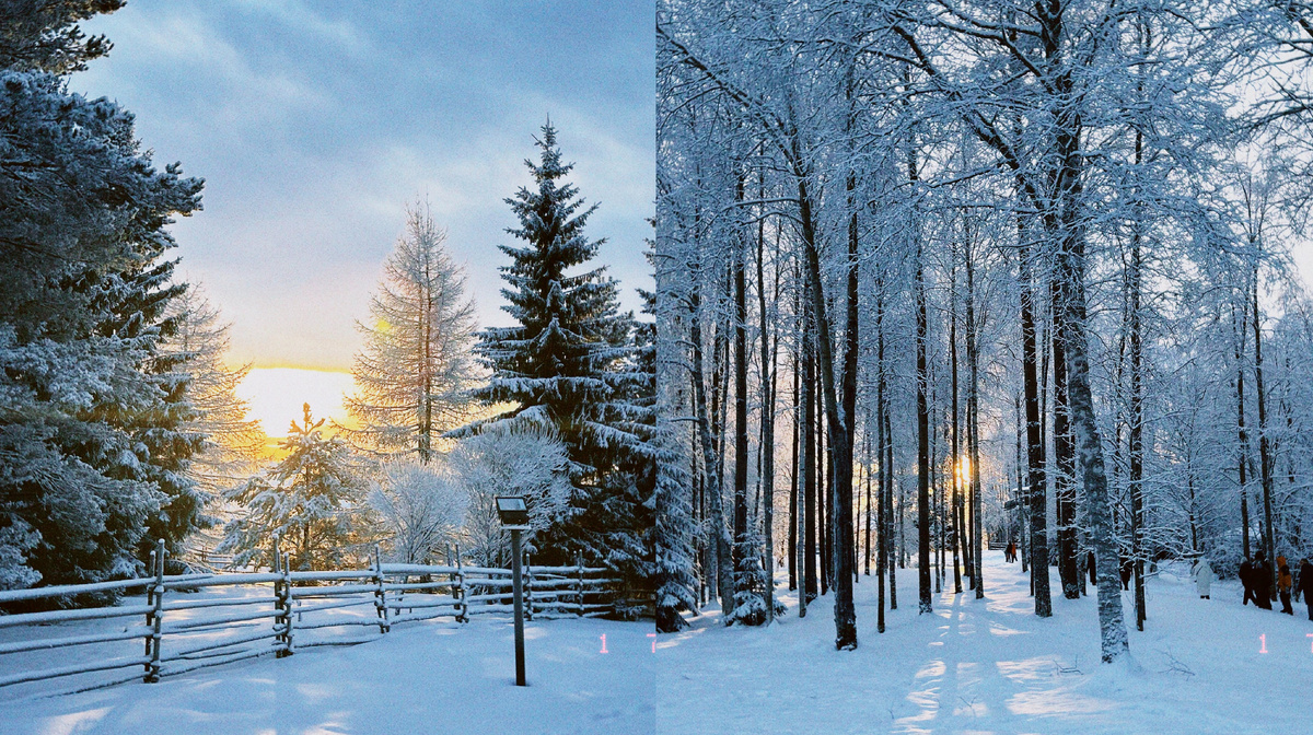 зимние пейзажи