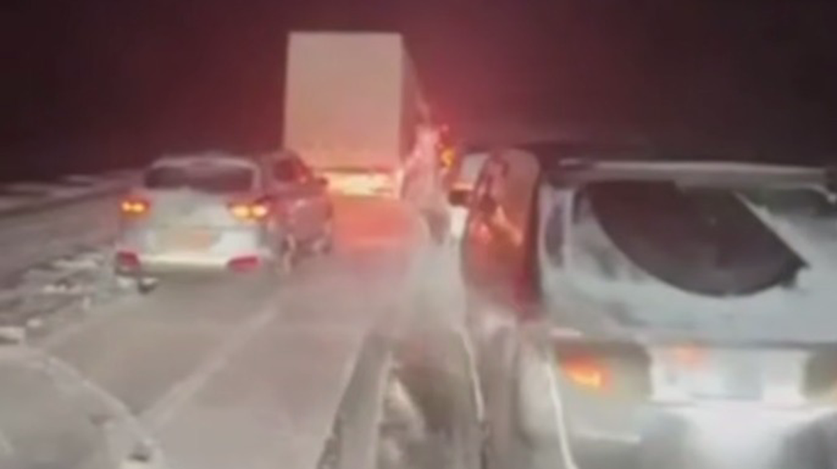    Фото: Скриншот видео / Shot / Telegram