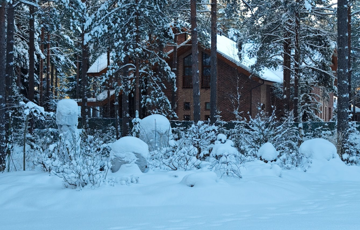 Наш сад в январе