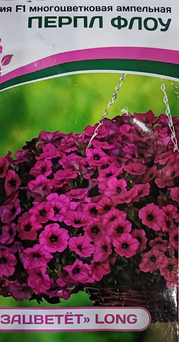  Петуния Перпл Флоу