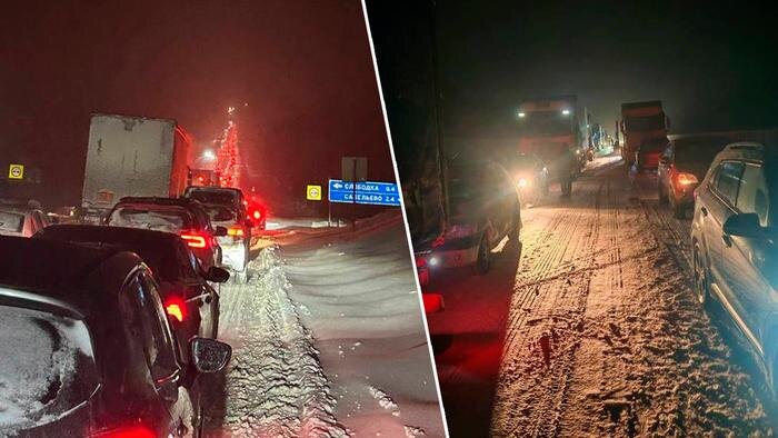 Обложка © Telegram / SHOT