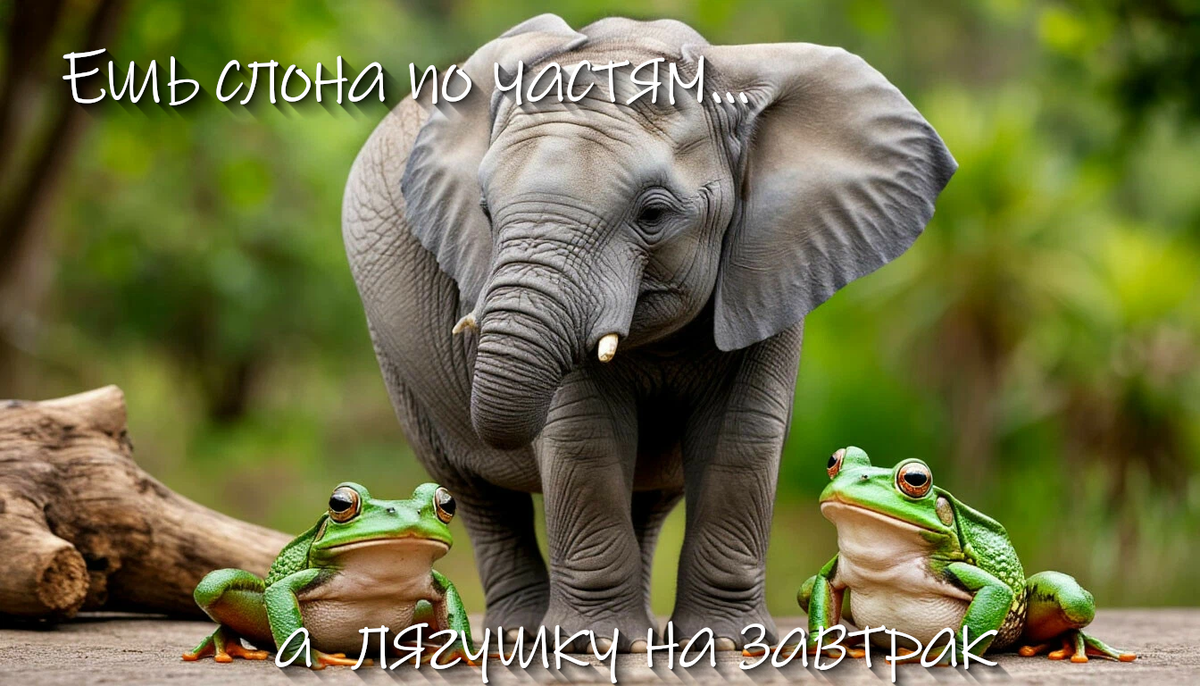 Обожка создана в водружестве с ИИ