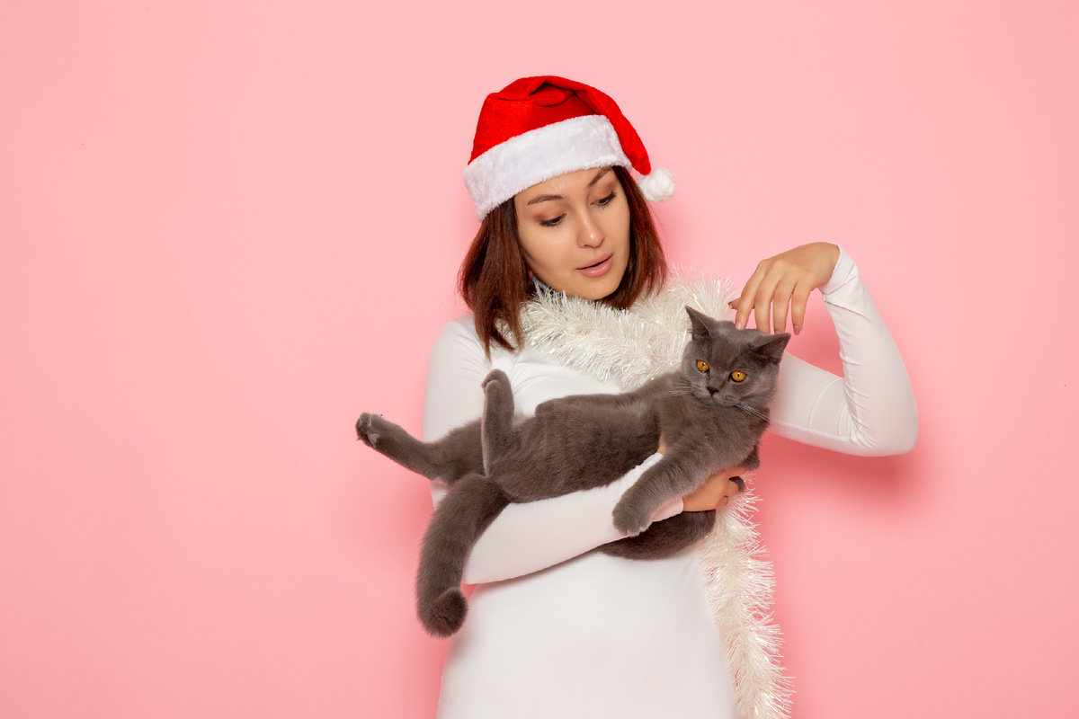 Кошка с человеком в новогоднем колпаке